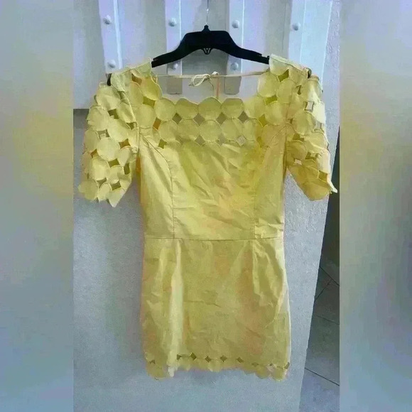 Anthropologie Cutwork Mini Shift Dress - Picture 7 of 8